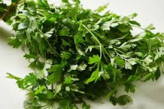 Parsley Health Benefits and Therapeutic Uses:
