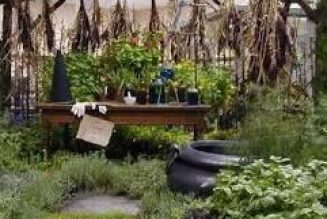 Your First Herb Garden