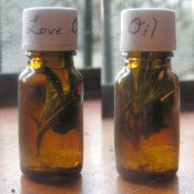 Attraction Love Oil
