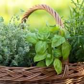 Easy To Find Ingredients