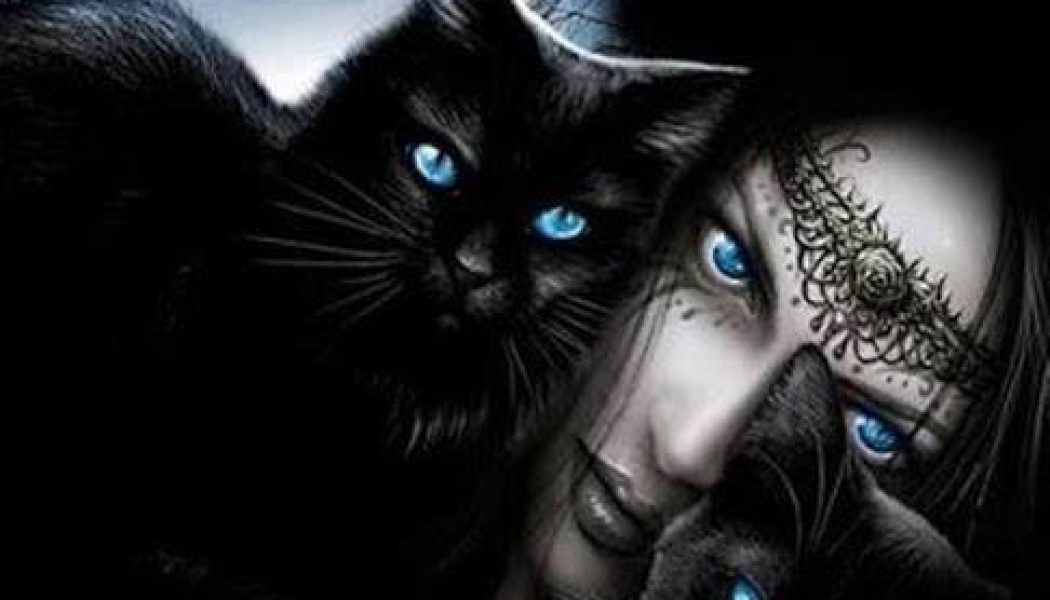 Black Cats and Witches