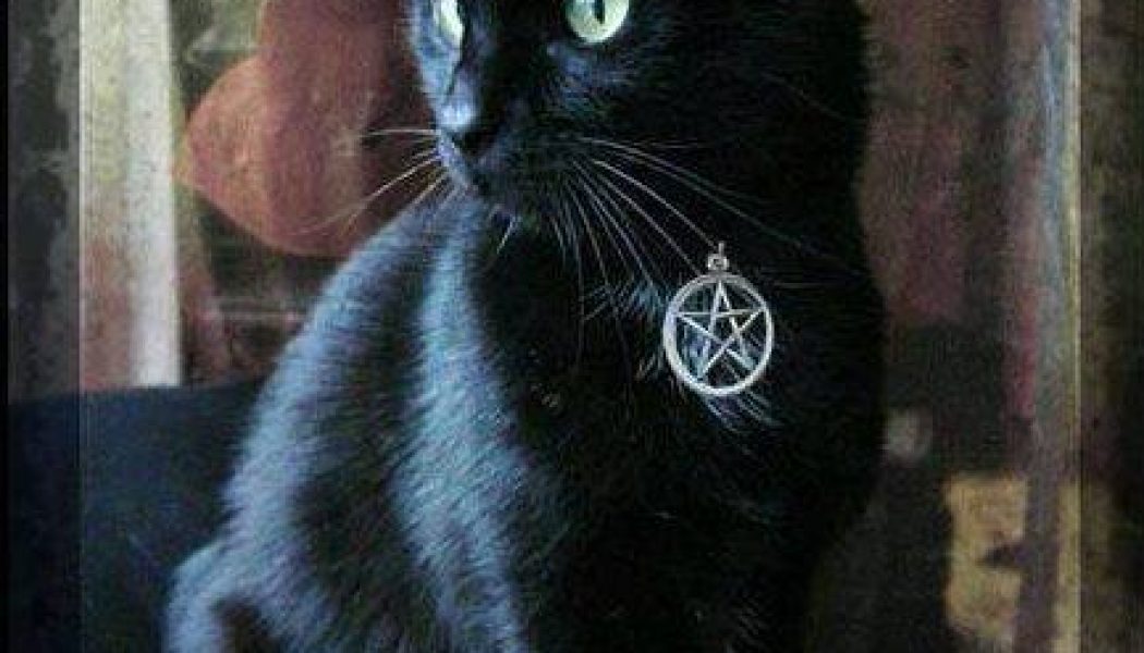Black Cats Are the Familiars of Witches
