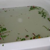 Verbena Bath
