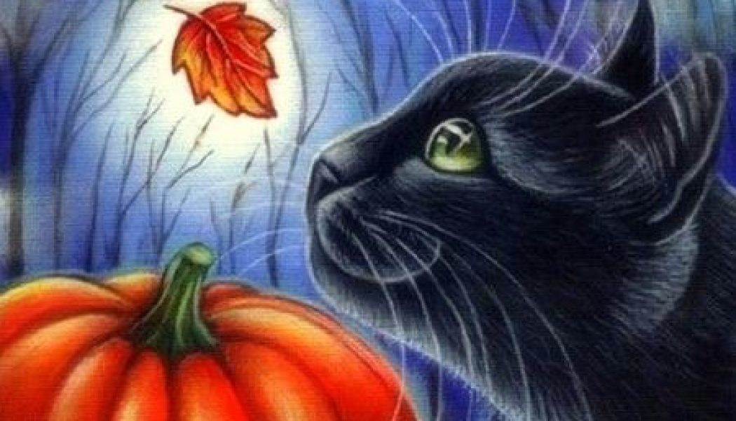 Black cat folklore, superstition, and mythology