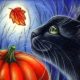 Black cat folklore, superstition, and mythology
