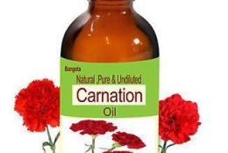 Carnation Oil