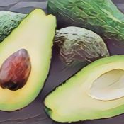 Avocado Fruit