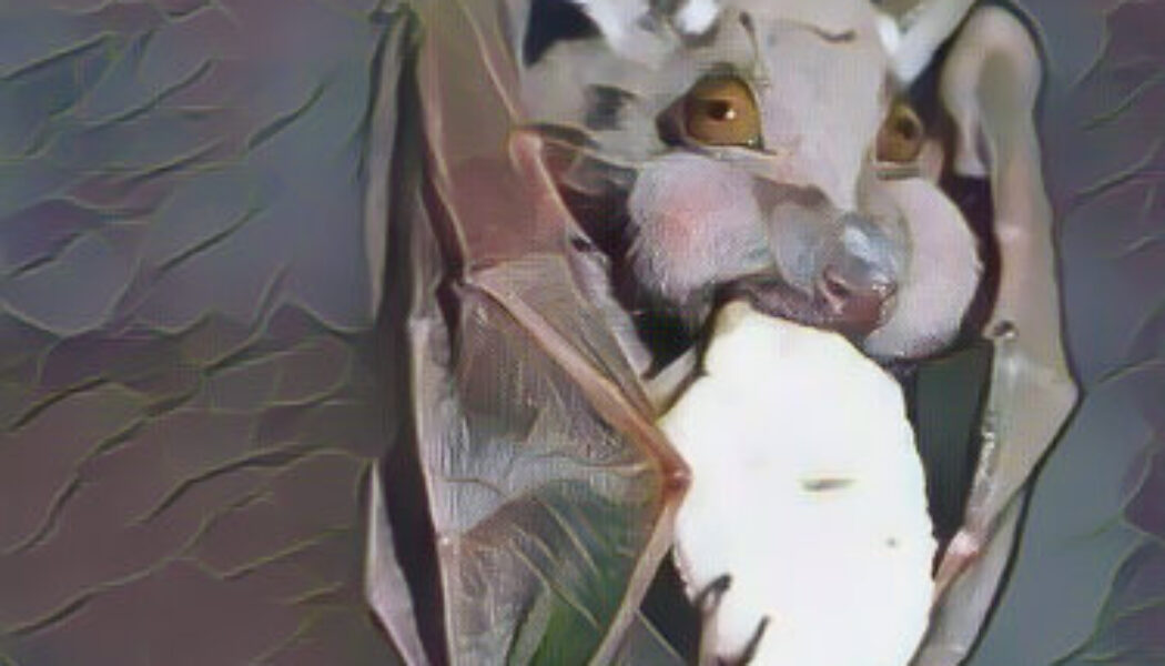 Bat as a Celtic Animal Symbol