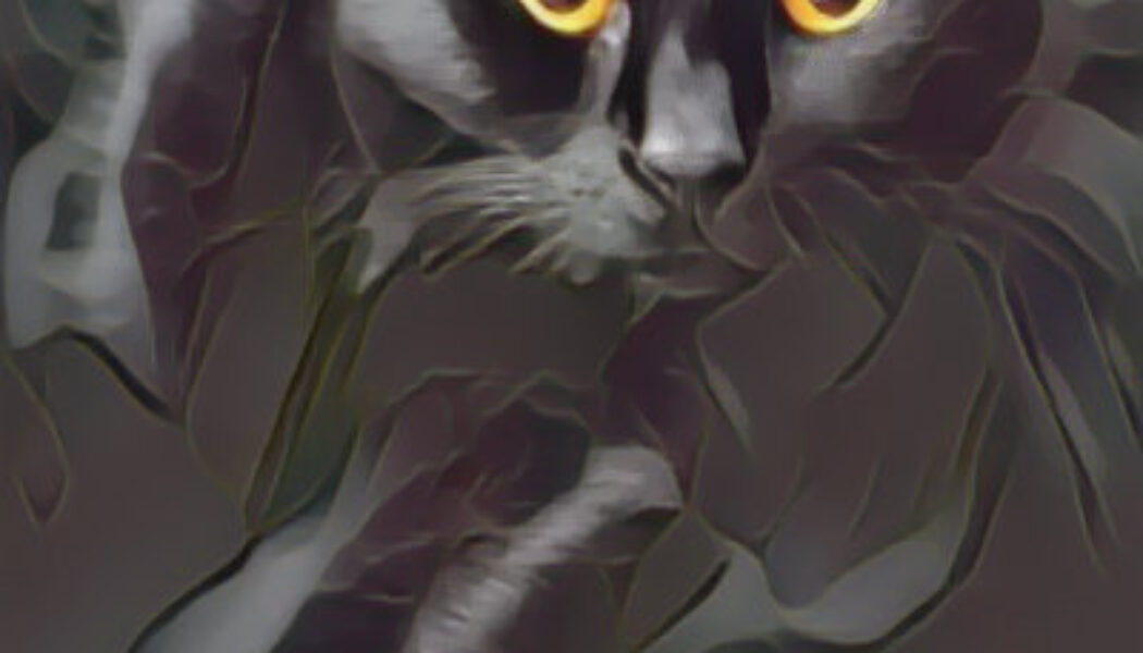 Are Black Cats Omens of Death?