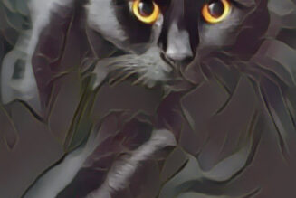 Are Black Cats Omens of Death?