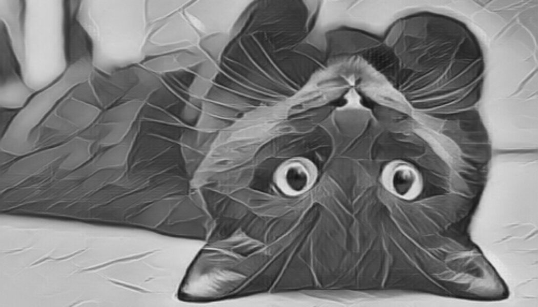 Black Cats Are Symbols of Luck & Prosperity