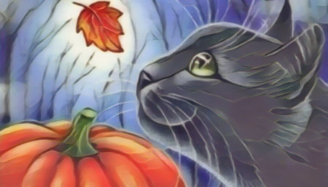 Black cat folklore, superstition, and mythology