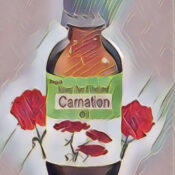 Carnation Oil