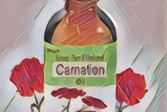 Carnation Oil