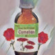 Carnation Oil