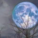 Super Blue Moon