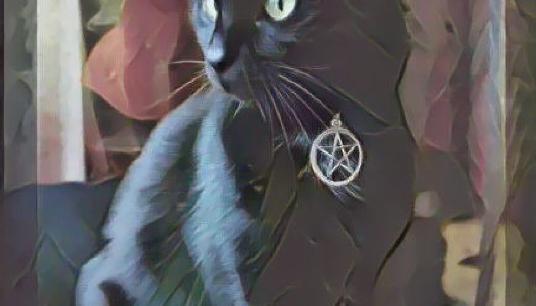 Black Cats Are the Familiars of Witches