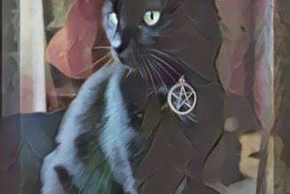 Black Cats Are the Familiars of Witches