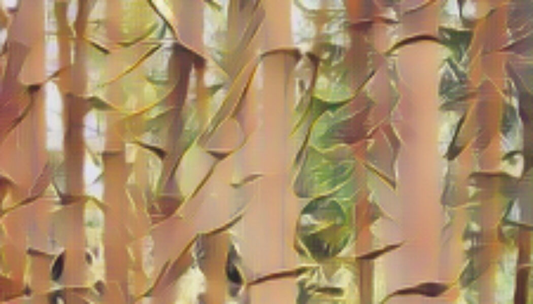 Bamboo the Magick of