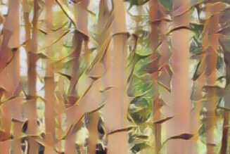 Bamboo the Magick of