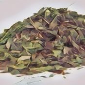 Basil- Herbs of the Kitchen Witch