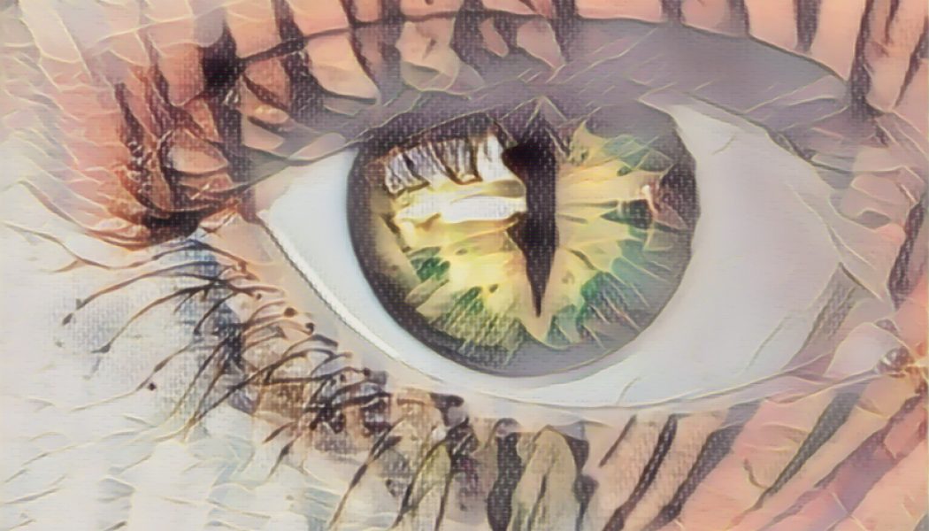 Confidence Spell using Tigers Eye and a Golden Candle