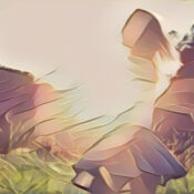 The roots of Traditional Witchcraft