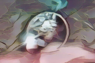 Death and Resurrection in Pluto