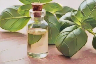 Essential Oil Benefits: Basil