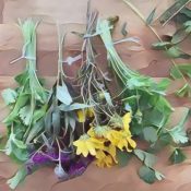 Kitchen Herbal Flowers