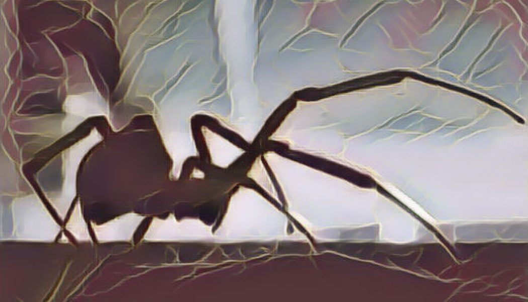 Spiders in Myth and Folklore