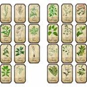 Herbal Labeling