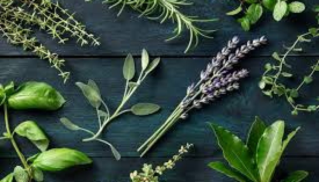 Herbal Magick for Strength