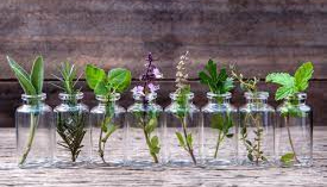 The uses of Herbs Fidelity
