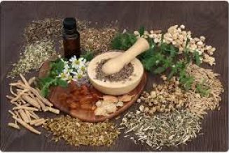 The uses of Herbs Healing
