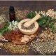 The uses of Herbs Healing