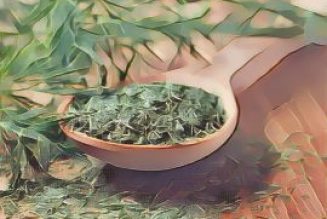 Herbal Folklore & Old Fashioned Tips, Dill