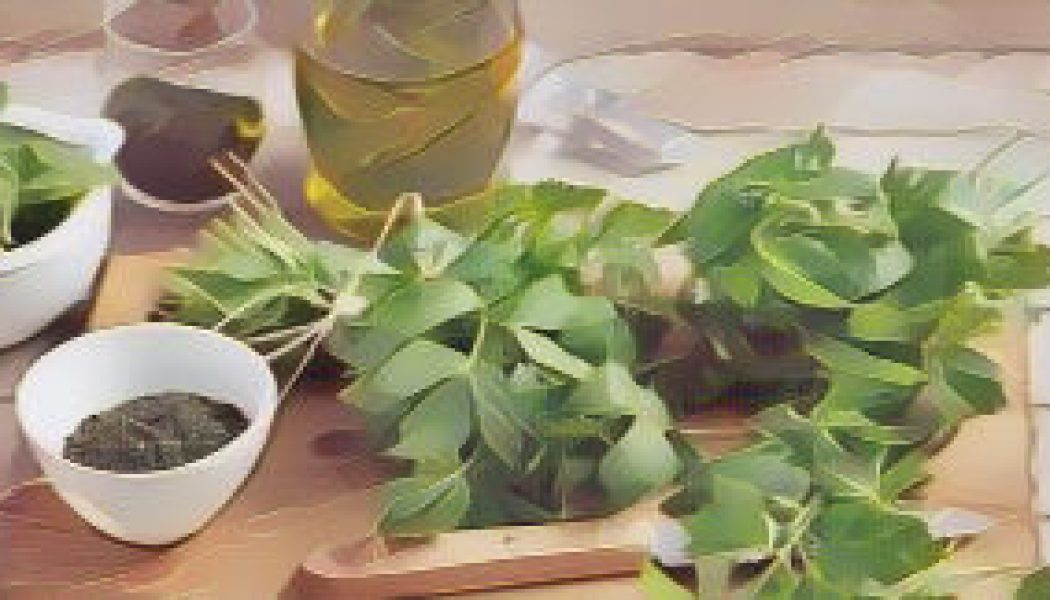 Herbal Folklore & Old Fashioned Tips, Lovage