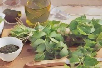 Herbal Folklore & Old Fashioned Tips, Lovage