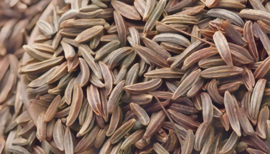 Medicinal Uses For Common Culinary Spices, CARAWAY.