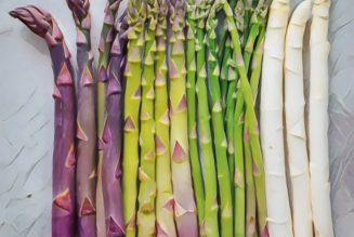 Medicinal Uses For Common Culinary Spices, ASPARAGUS.