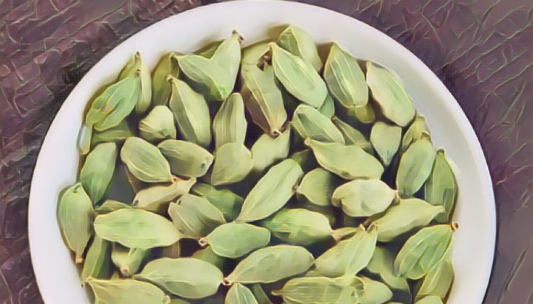 Medicinal Uses For Common Culinary Spices, CARDAMON.