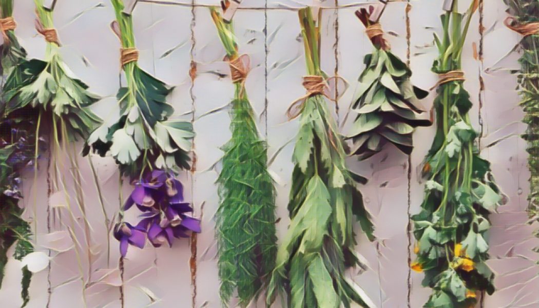 Collecting Herbs for Magical Workings, Finding Your Herbs.