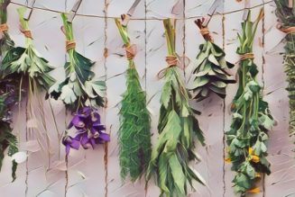 Collecting Herbs for Magical Workings, Finding Your Herbs.