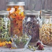 Collecting Herbs for Magical Workings, Storing and Preparing for Use.