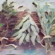 Green Correspondence, HERBS.