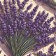 Anti-Anxiety Herbs, Lavender.