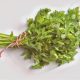 Medicinal Uses For Common Culinary Spices, CHERVIL.