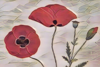 Poppies the Magick of