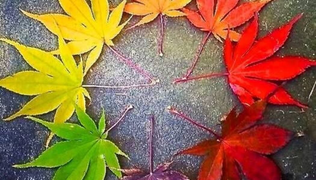 Happy Autumn Equinox!